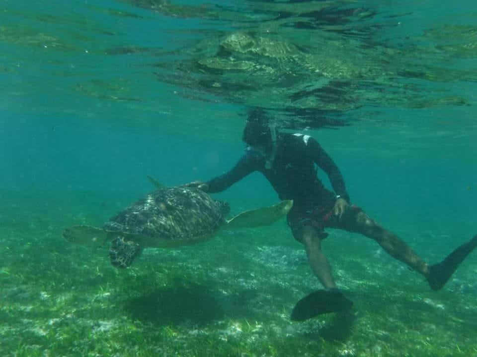 ギリ・トラワンガン Dili Gili Bed & Breakfast エクステリア 写真
