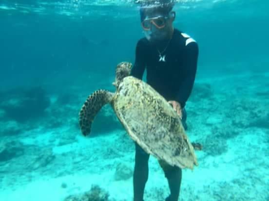 ギリ・トラワンガン Dili Gili Bed & Breakfast エクステリア 写真